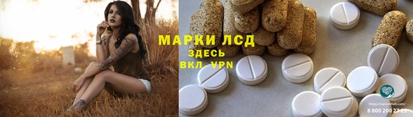 крисы Абаза