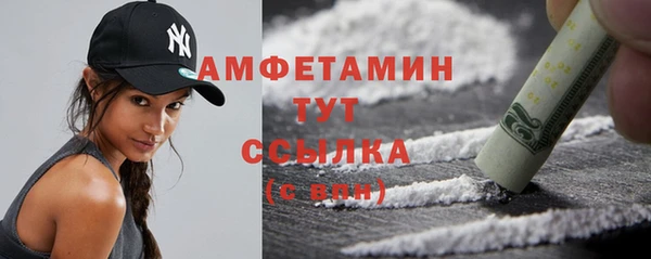 крисы Абаза