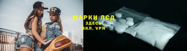 крисы Абаза