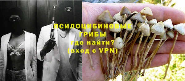 2c-b Абдулино
