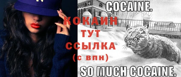 крисы Абаза