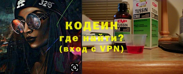 крисы Абаза