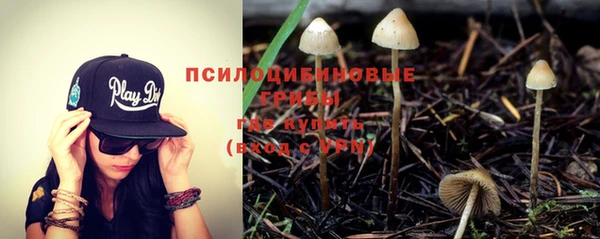 дмт Абинск